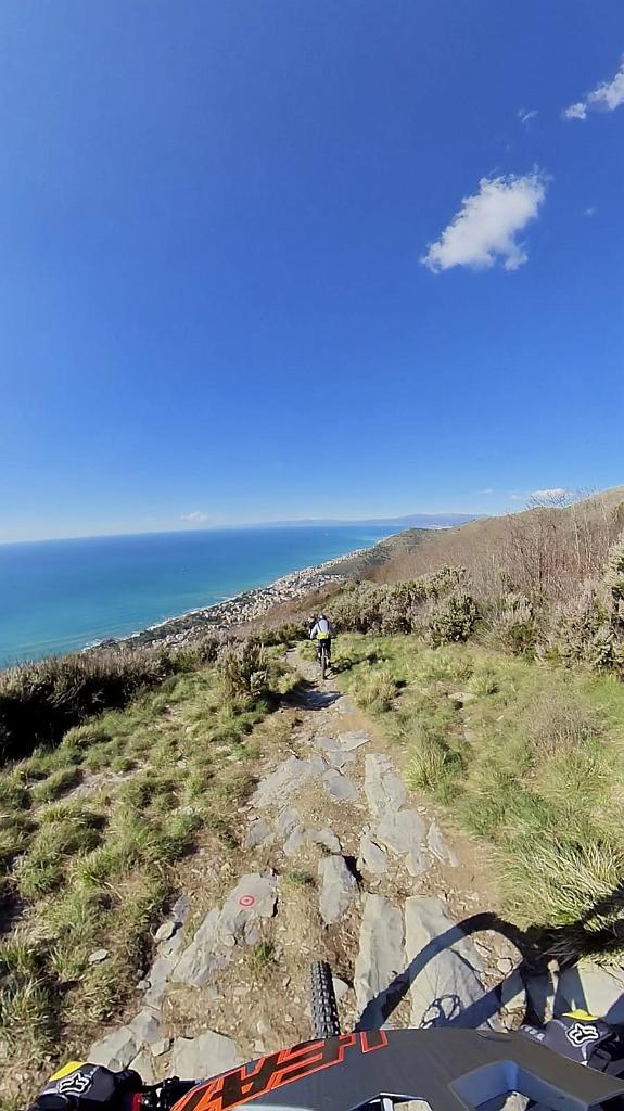 WhatsApp Image 2021-03-14 at 17.59.54.jpeg